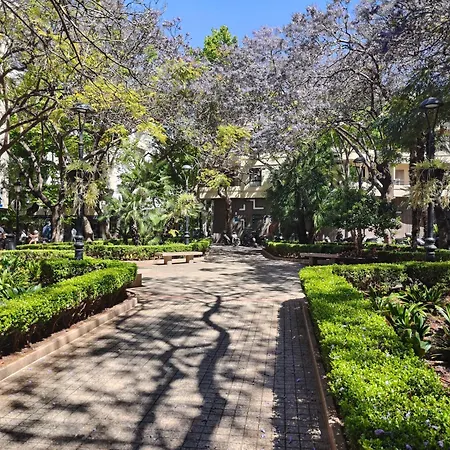 Cozy & Refurbished In Old Town *